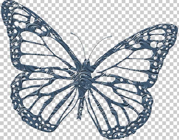 Monarch Butterfly Coloring Book PNG, Clipart, Adult, Animal, Brush Footed Butterfly, Butterflies, Child Free PNG Download