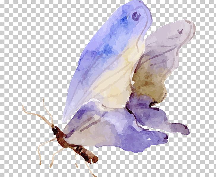 Butterfly Watercolor Painting PNG, Clipart, Art, Arthropod, Butterfly, Color, Ink Free PNG Download