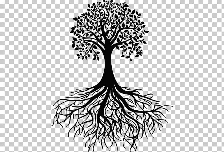 Tree Root Drawing PNG, Clipart, Art, Artwork, Black And White, Branch, Flora Free PNG Download