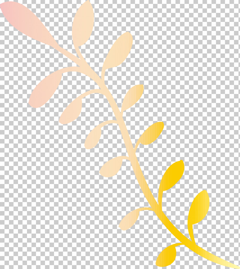 Picture Frame PNG, Clipart, Branch, Floral Design, Flower, Leaf, Lily Free PNG Download