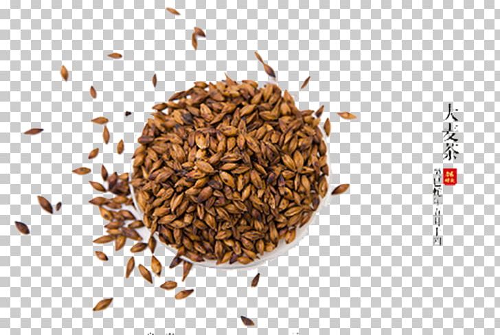 Barley Tea PNG, Clipart, Barley, Barley Farm, Barley Flour, Barley Splash, Barley Vector Free PNG Download