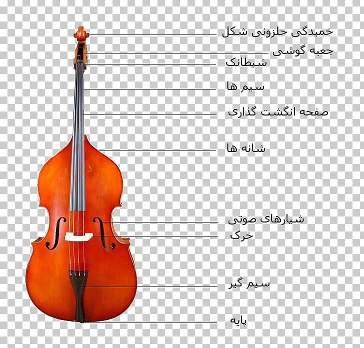 Bass Violin Double Bass Violone Viola Octobass PNG, Clipart, Bass Guitar, Bass Violin, Bowed String Instrument, Cellist, Cello Free PNG Download