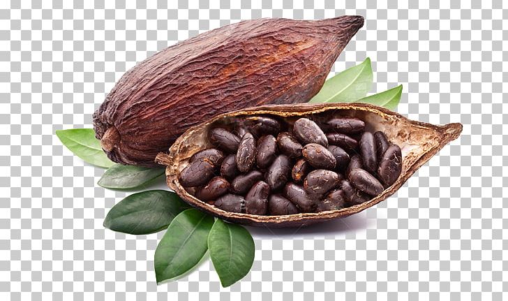 Chocolate Bar Cocoa Bean Cocoa Solids Chocolate Liquor PNG, Clipart, Bean, Cacao, Chocolate, Chocolate Bar, Chocolate Liquor Free PNG Download