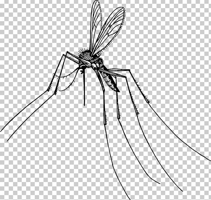Mosquito Insect Gnat Pest PNG, Clipart, Arachnid, Area, Arthropod, Artwork, Black And White Free PNG Download