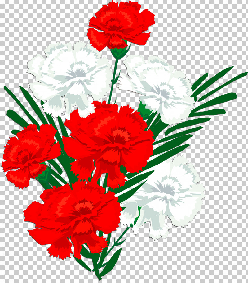 Flower Cut Flowers Red Carnation Plant PNG, Clipart, Bouquet, Carnation, Cut Flowers, Dianthus, Flower Free PNG Download