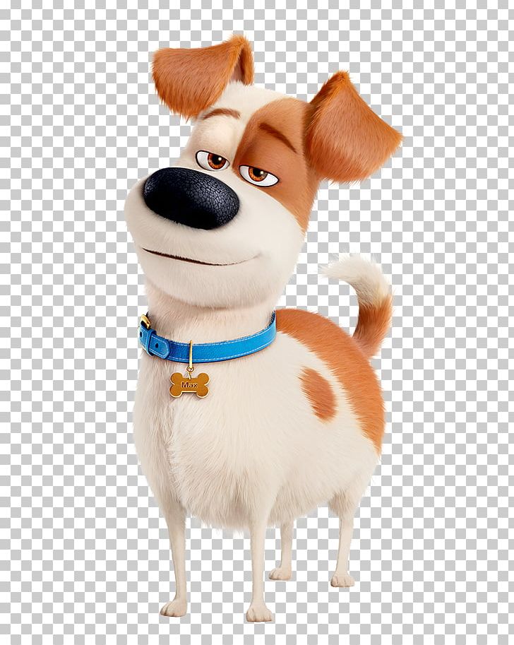 Max Gidget Dog Pet Film PNG, Clipart, Animals, Animation, Carnivoran, Character, Companion Dog Free PNG Download
