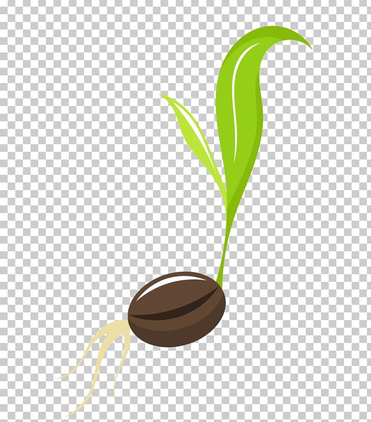 Seedling Sprouting PNG, Clipart, Agriculture, Alternative Medicine, Bean, Common Bean, Fotosearch Free PNG Download