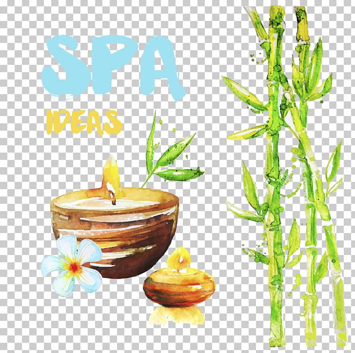 SPA PNG, Clipart, Alternative Medicine, Art, Beauty, Branch, Clip Art Free PNG Download