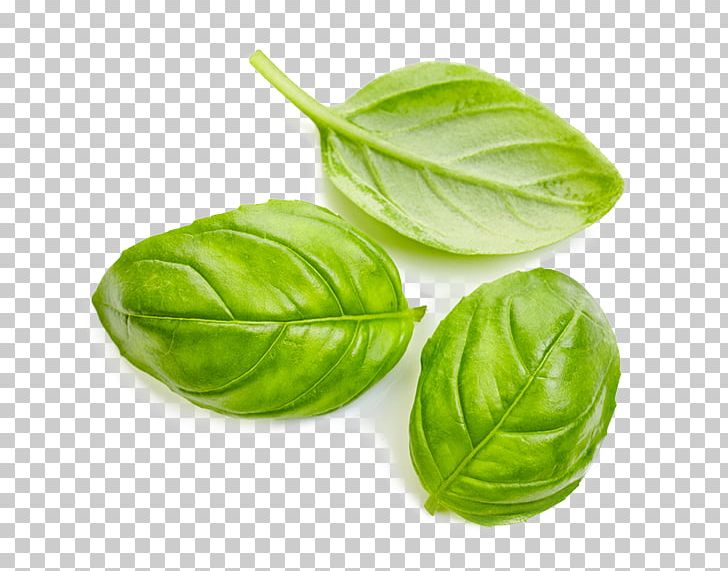 Basil Stock Photography Pesto Herb PNG, Clipart, Basil, Cruciferous Vegetables, Herb, Ingredient, Istock Free PNG Download