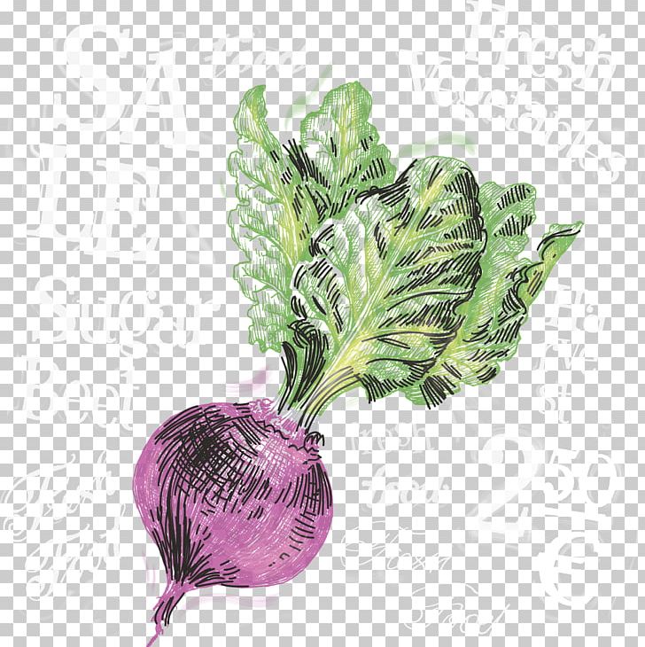 Beer Onion Turnip Vegetable PNG, Clipart, Beer, Food, Hand, Happy Birthday Vector Images, Leaf Free PNG Download