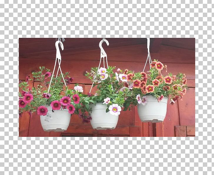 Petunia Plant Garden Ivy Geranium Pelargonium Zonale PNG, Clipart, Artificial Flower, Balcony, Centrepiece, Cut Flowers, Flora Free PNG Download