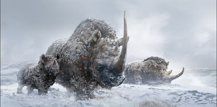 Prehistory Elasmotherium Prehistoric Mammal Woolly Rhinoceros Animal PNG, Clipart, Animal, Animals, Bison, Cattle Like Mammal, Dinosaur Free PNG Download