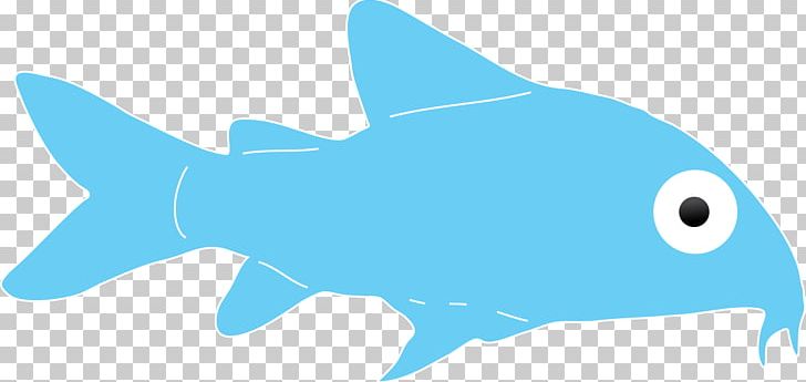 Requiem Sharks Marine Biology Dolphin PNG, Clipart, Animals, Biology, Blue Catfish, Cartilaginous Fish, Dolphin Free PNG Download