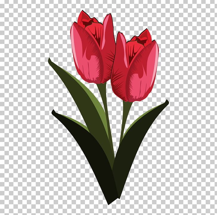 Tulip Flower PNG, Clipart, Bud, Cut Flowers, Desktop Wallpaper, Download, Floristry Free PNG Download