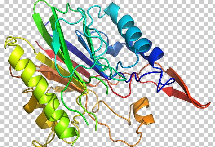 Acute-phase Protein Bioinformatics DNA Protein Structure PNG, Clipart, Acutephase Protein, Artwork, Bioinformatics, Blast, Conserved Sequence Free PNG Download