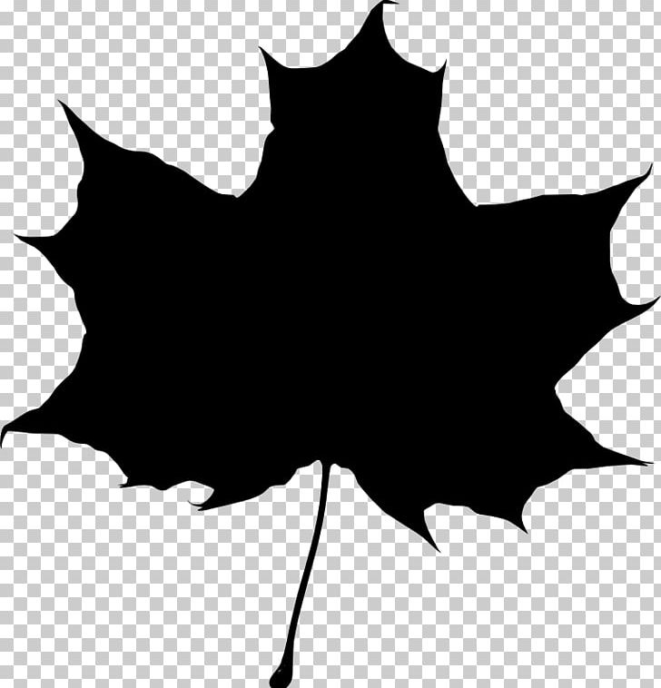 Drawing Silhouette Maple Leaf PNG, Clipart, Animals, Black, Black And White, Branch, Drawing Free PNG Download