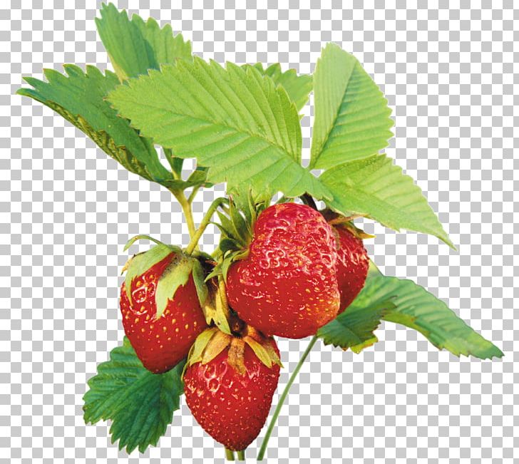 Musk Strawberry PNG, Clipart, Berry, Encapsulated Postscript, Food, Fragaria, Fruit Free PNG Download