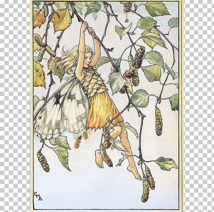 The Book Of The Flower Fairies Flower Fairies Of The Summer Fairy Silver Birch PNG, Clipart, Artist, Birch, Book Of The Flower Fairies, Branch, Fauna Free PNG Download