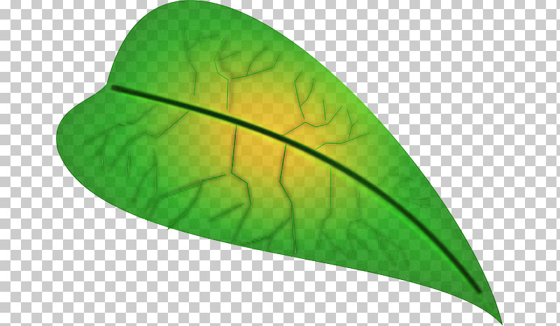 Leaf Green Plant Structure Science Biology PNG, Clipart, Biology, Green, Leaf, Plant, Plant Structure Free PNG Download