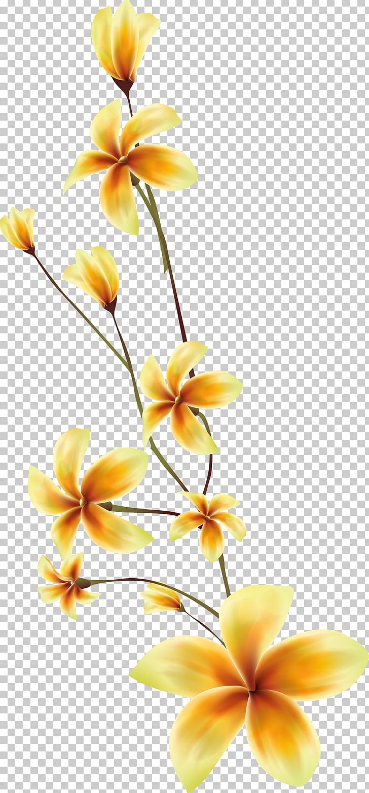 Moth Orchids Cut Flowers Plant Stem Petal PNG, Clipart, Branch, Branching, Brush, Cut Flowers, Draw Free PNG Download