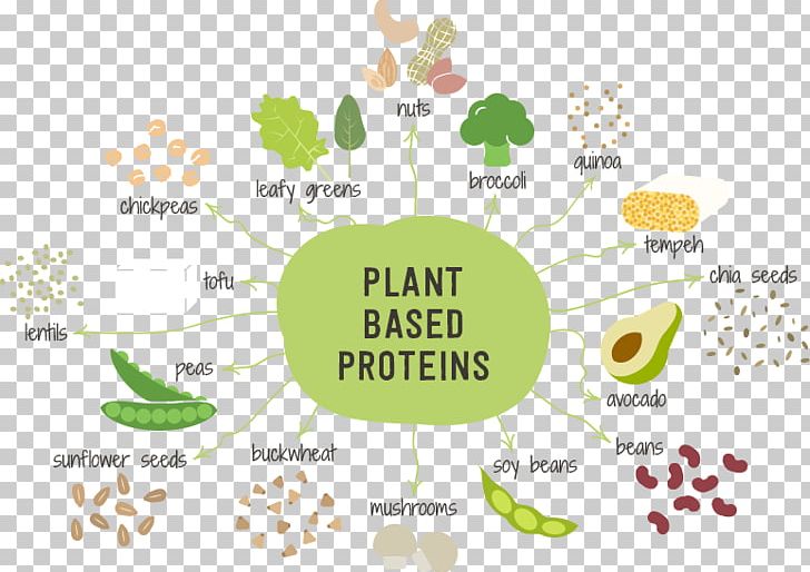 Plant-based Diet Fruit Nutrition Vegetable PNG, Clipart, Animal, Brand, Calorie, Chickpea, Diagram Free PNG Download