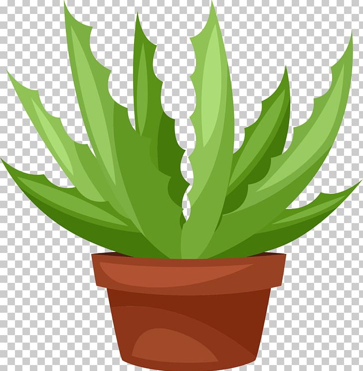 Succulent Plant Cactus Graphics Illustration PNG, Clipart, Aloe, Cactus, Computer Icons, Flowering Plant, Flowerpot Free PNG Download
