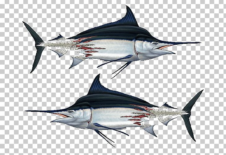 Swordfish Decal Tuna Clothing Fishing PNG, Clipart, Billfish, Biology, Boat, Bony Fish, Clothing Free PNG Download