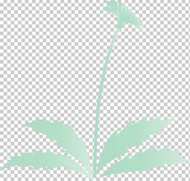 Leaf Flower Plant Plant Stem Tree PNG, Clipart, Arecales, Dandelion Flower, Easter Day Flower, Flower, Leaf Free PNG Download