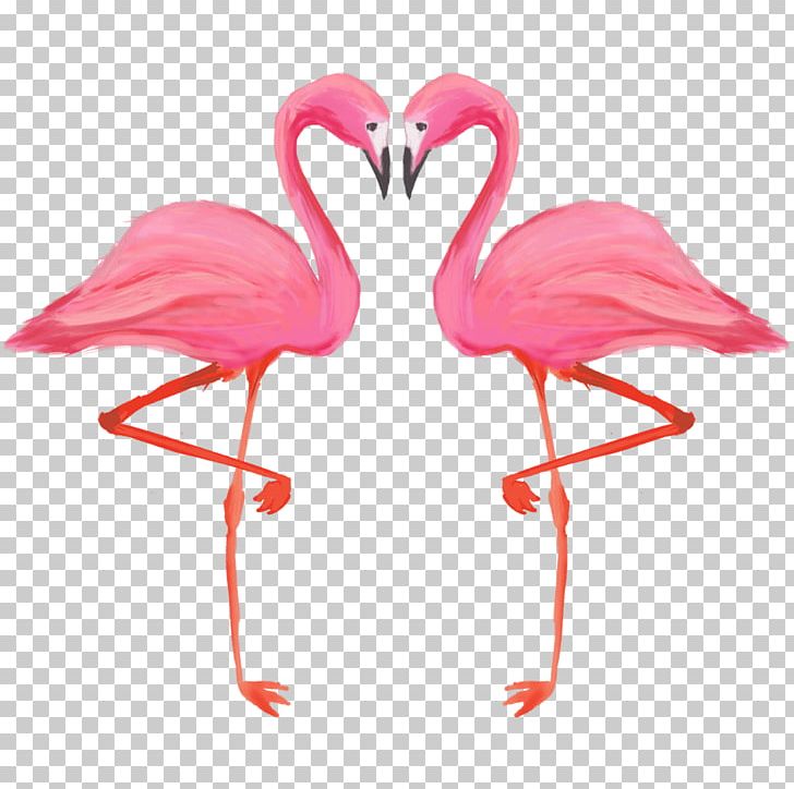 Bird Greater Flamingo American Flamingo PNG, Clipart, American Flamingo, Andean Flamingo, Animals, Beak, Bird Free PNG Download
