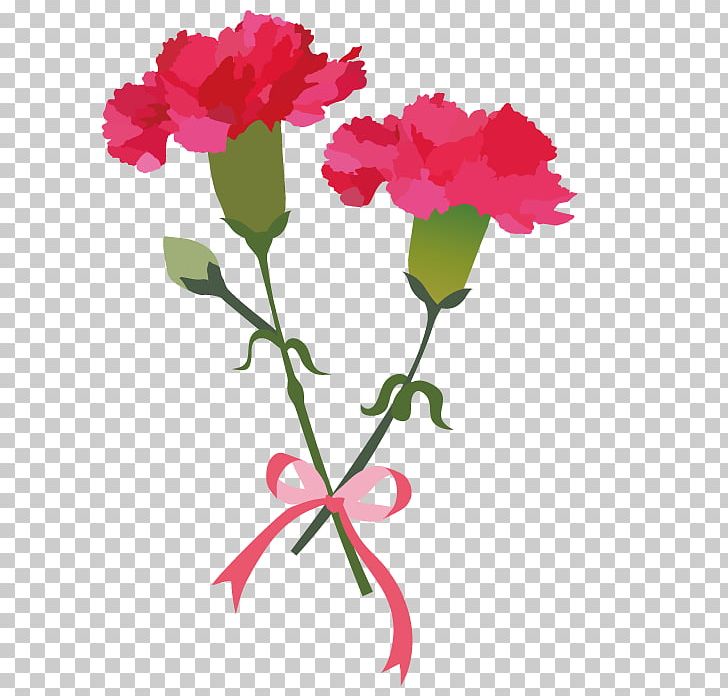 Carnation Flower For Mothers Day. PNG, Clipart, Annual Plant, Carnation, Cut Flowers, Dianthus, Flora Free PNG Download