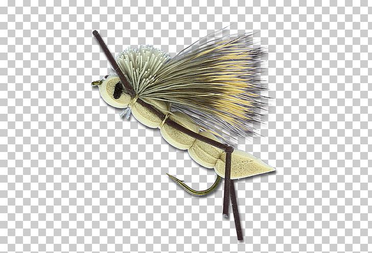 Insect Artificial Fly PNG, Clipart, Animals, Artificial Fly, Fly, Insect, Invertebrate Free PNG Download