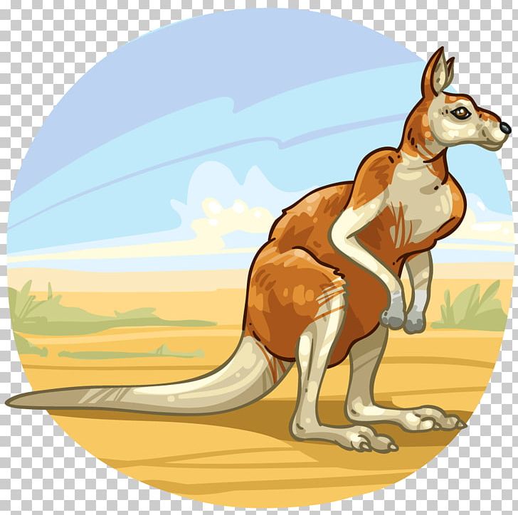 Macropodidae Mammal Animal Kangaroo Marsupial PNG, Clipart, Animal, Animals, Canidae, Carnivora, Carnivoran Free PNG Download