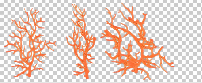 Orange PNG, Clipart, Branch, Orange, Plant, Tree, Twig Free PNG Download