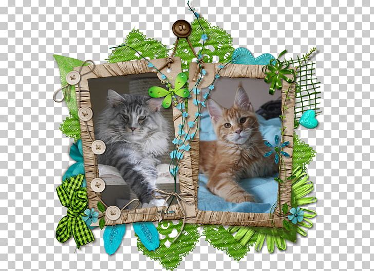 Frames Photography Collage PNG, Clipart, Branch, Carnivoran, Cat, Cat Like Mammal, Desktop Wallpaper Free PNG Download