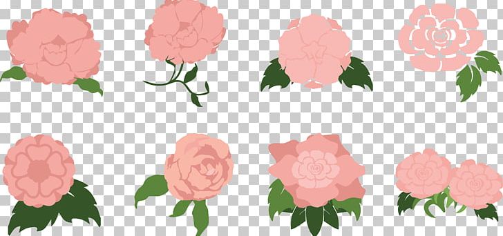 Garden Roses Anemone Coronaria Centifolia Roses Pink PNG, Clipart, Anemone, Anemone Coronaria, Flower, Flower Arranging, Leaf Free PNG Download