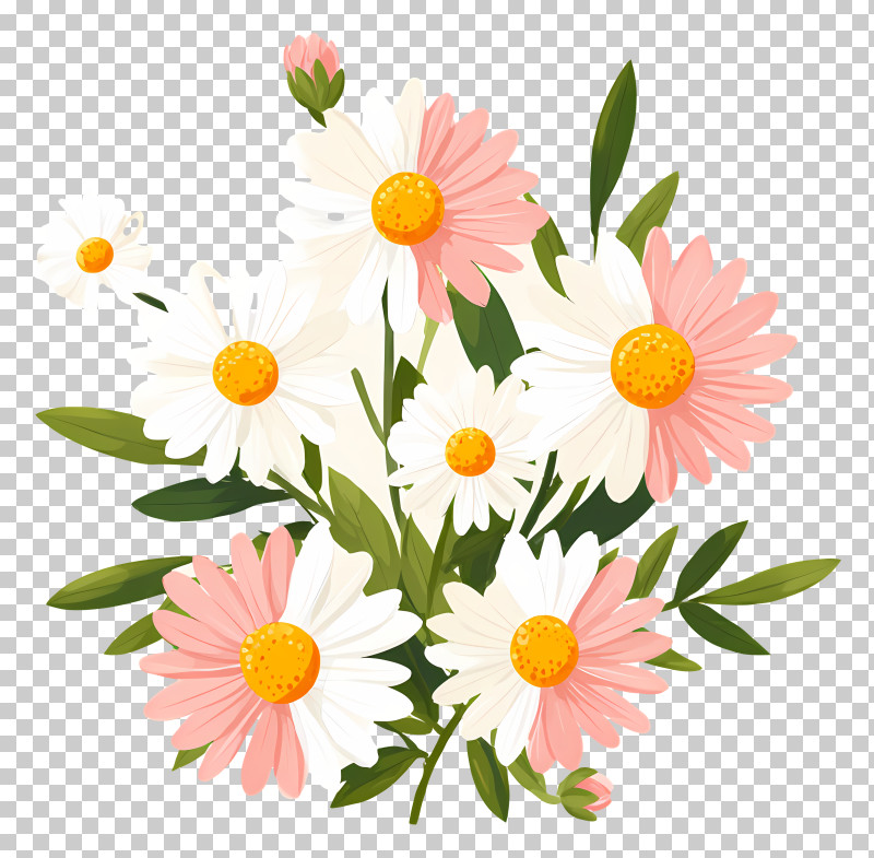 Cute Pink White Daisy Bouquet PNG