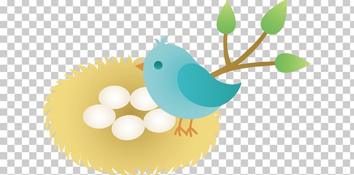 Bird Nest PNG, Clipart, American Robin, Beak, Bird, Bird Egg, Bird Nest Free PNG Download
