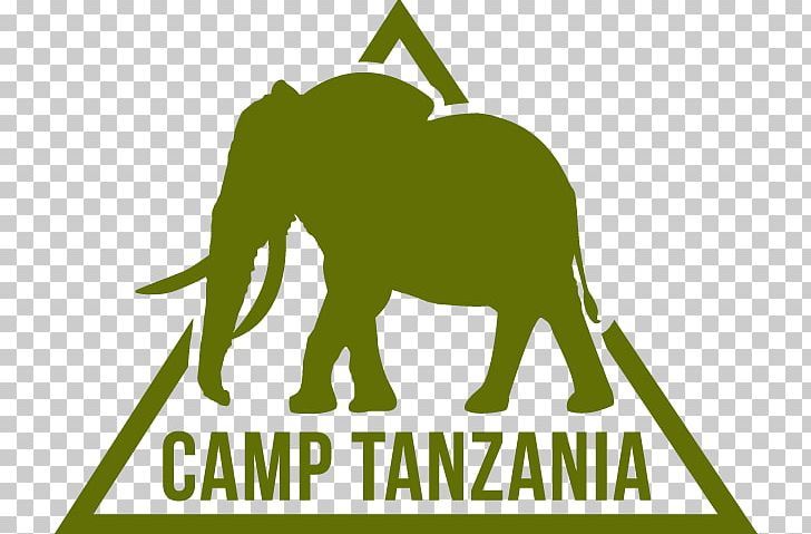 Camps International Mount Kilimanjaro Kenya Summer Camp Volunteering PNG, Clipart,  Free PNG Download