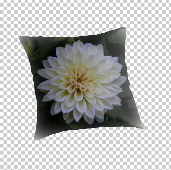 Throw Pillows Cushion Flower PNG, Clipart, Cushion, Dahlias, Flower, Flowering Plant, Furniture Free PNG Download