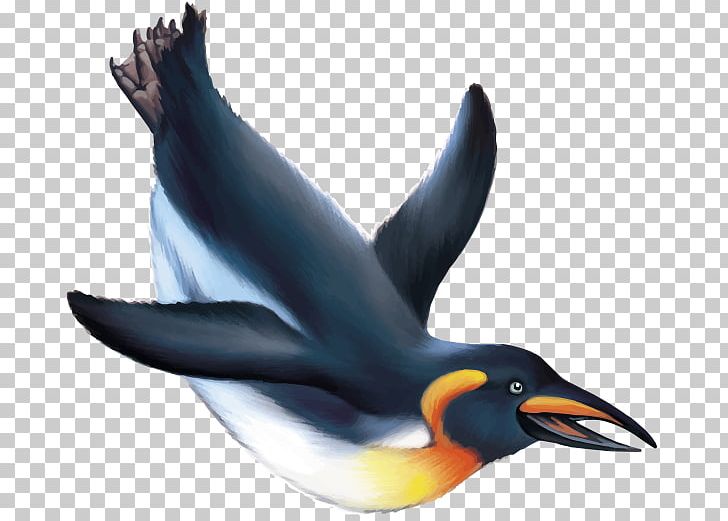 Emperor Penguin Drawing Stock Photography PNG, Clipart, Animals, Beak, Bird, Drawin, Emperor Penguin Free PNG Download
