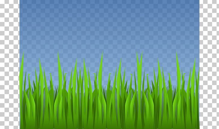 Lawn Grass Garden PNG, Clipart, Animated Grass Cliparts, Cartoon, Computer, Computer Wallpaper, Drawing Free PNG Download