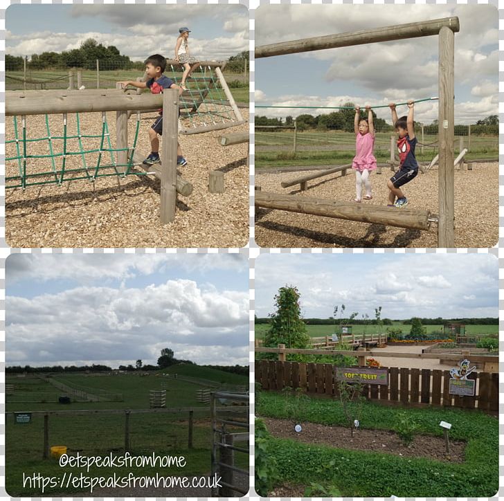 National Forest Adventure Farm Burton Upon Trent Park Public Space Playground PNG, Clipart, Burton Upon Trent, Et The Extraterrestrial, Farm, Grass, Grassland Free PNG Download