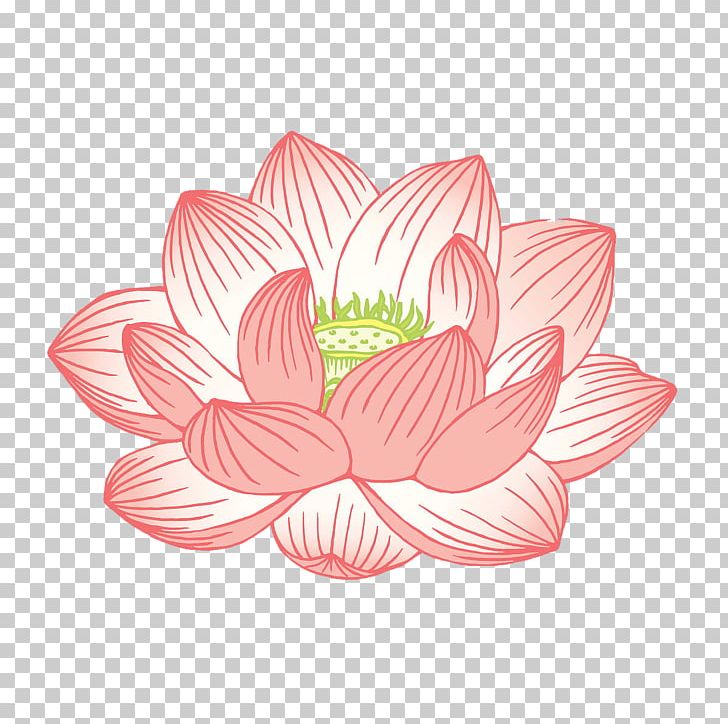 Nelumbo Nucifera Egyptian Lotus Illustration PNG, Clipart, Blue, Blue Lotus, Cartoon, Cartoon Pattern, Chart Free PNG Download