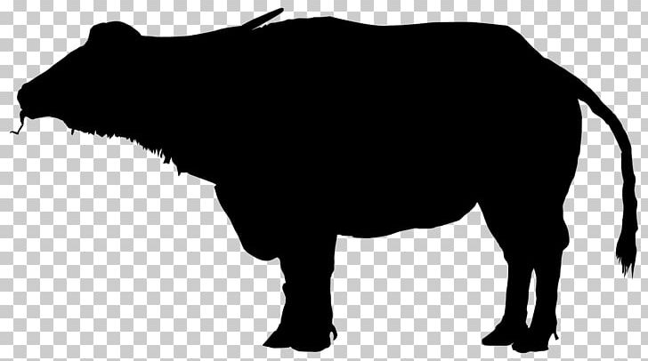 Water Buffalo Silhouette PNG, Clipart, Animals, Bison, Black And White, Buffalo, Bull Free PNG Download