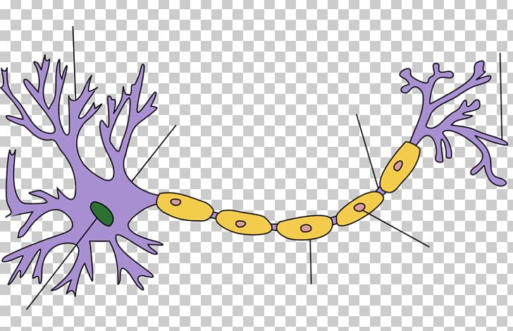 Biological Neuron Model Artificial Neural Network Action Potential Artificial Neuron PNG, Clipart, Action Potential, Art, Artificial Neural Network, Artificial Neuron, Artwork Free PNG Download