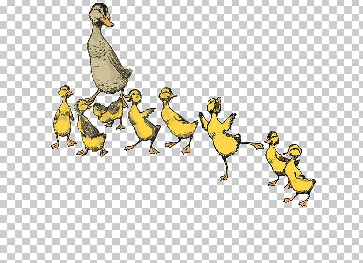 Make Way For Ducklings Boston Performing Arts Dance PNG, Clipart, Animal Figure, Animals, Art, Arts, Ballet Free PNG Download