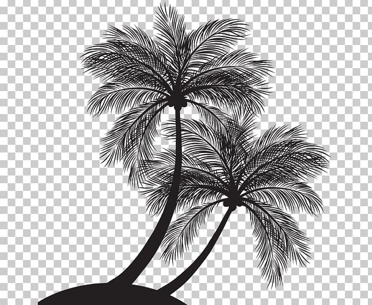 Palm Trees Graphics Silhouette Illustration PNG, Clipart, Animals, Arecales, Art, Black And White, Borassus Flabellifer Free PNG Download