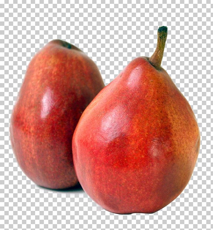 Pear Fruit Photography PNG, Clipart, Accessory Fruit, Apple, Cherry, Download, Encapsulated Postscript Free PNG Download