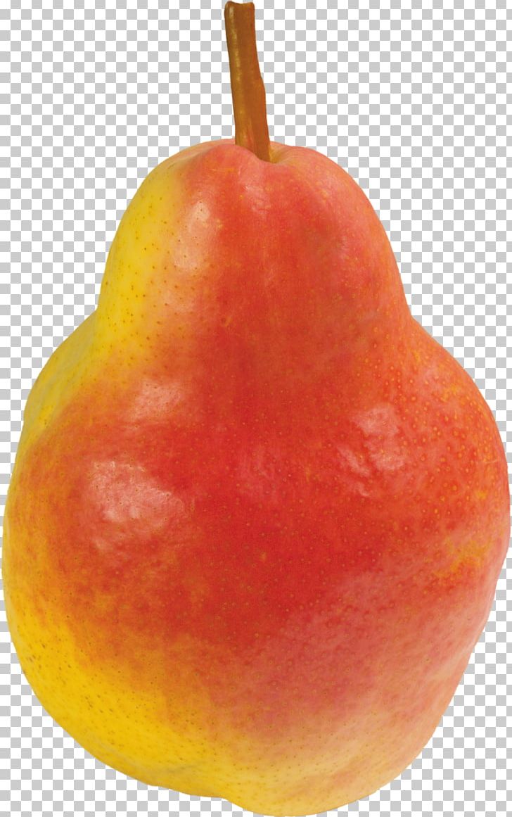 Pear Portable Network Graphics Accessory Fruit PNG, Clipart, Accessory Fruit, Apple, Auglis, Diet Food, Download Free PNG Download