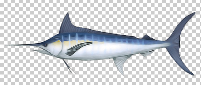 Shark PNG, Clipart, Albacore Fish, Atlantic Blue Marlin, Cretoxyrhina, Fin, Fish Free PNG Download